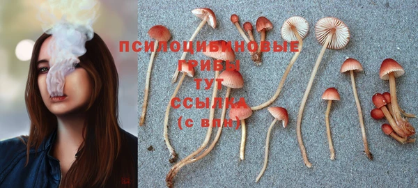 мдпв Володарск