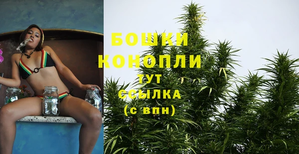PSILOCYBIN Волоколамск