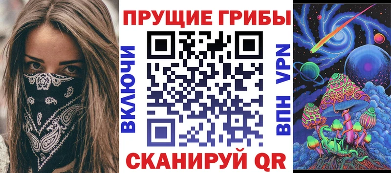 Галлюциногенные грибы Magic Shrooms  МЕГА сайт  Котельнич 
